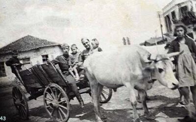 Ι0002 / 4 Ιαν 2021