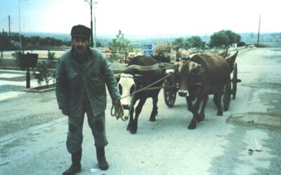 I0008 / 8 Ιαν 2022