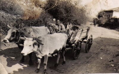 I0015 / 8 Ιαν 2022